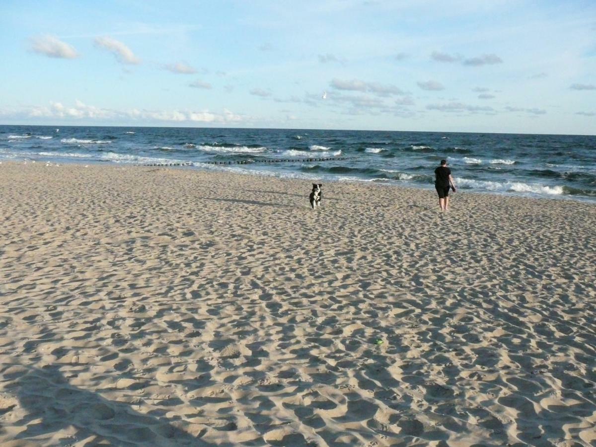 Gardenia Mare Baltic Dziwnow Lägenhet Exteriör bild